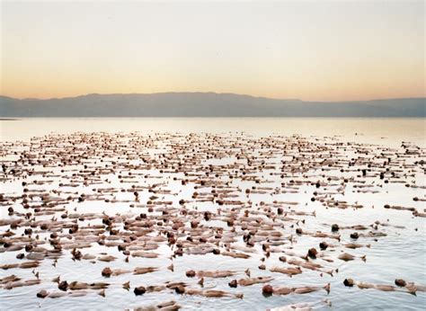 naked nude models|The Naked World of Spencer Tunick